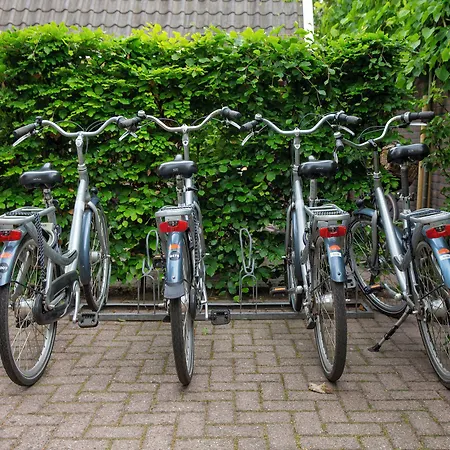 Zenzez & Lounge Hotell Apeldoorn